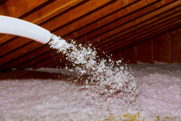 Best Insulation Maintenance and Repair in Leland, MS