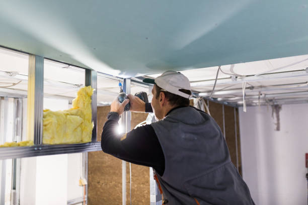 Best Insulation Maintenance and Repair in Leland, MS