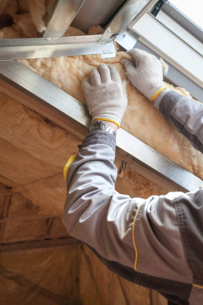 Best Eco-Friendly Insulation in Leland, MS
