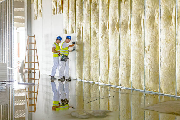Types of Insulation We Offer in Leland, MS